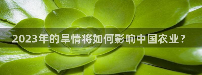 威九国际2登录入口：2023年的旱情将如何影响中国农业？