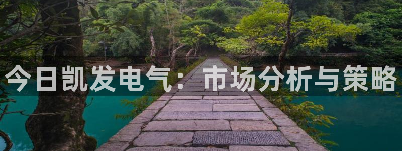www.威九国际体育.com：今日凯发电气：市场分析与策略