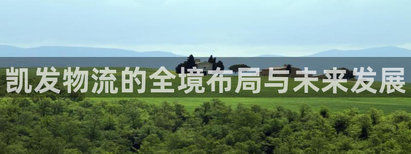 威九国际代理注册官网入口：凯发物流的全境布局与未来发展