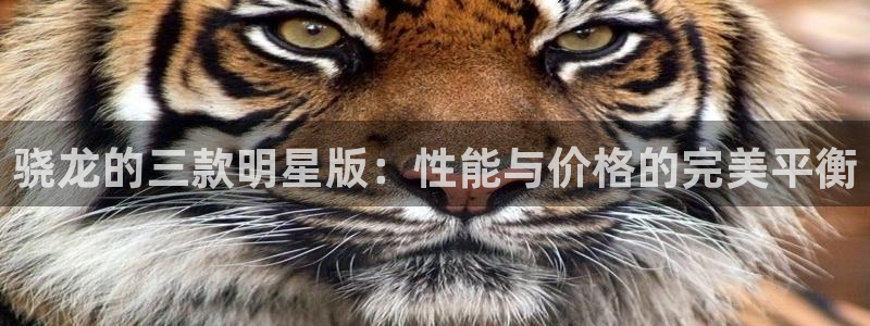 威九国际体育注册平台：骁龙的三款明星版：性能与价格的完美平衡
