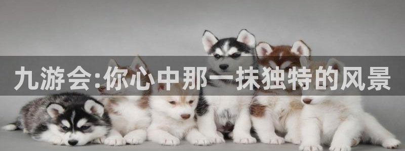 威九国际体育游戏：九游会:你心中那一抹独特的风景