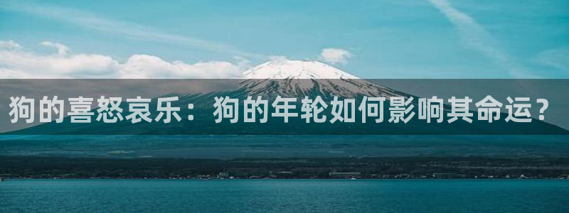 威九国际招商：狗的喜怒哀乐：狗的年轮如何影响其命运？