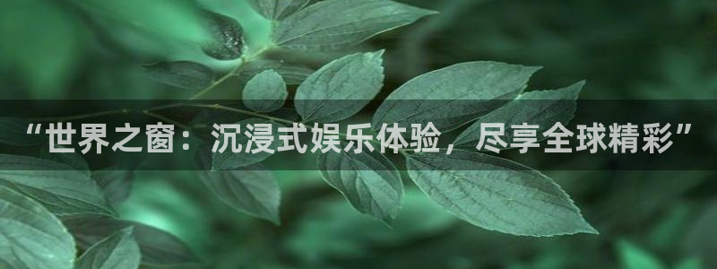 威九国际4平台：“世界之窗：沉浸式娱乐体验，尽享全球精彩”