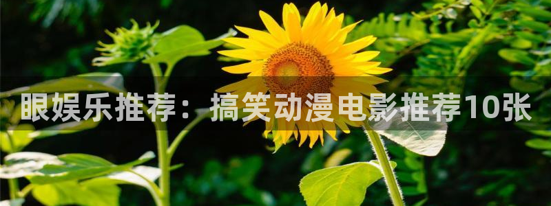 威九国际体育平台开号链接：眼娱乐推荐：搞笑动漫电影推荐10张