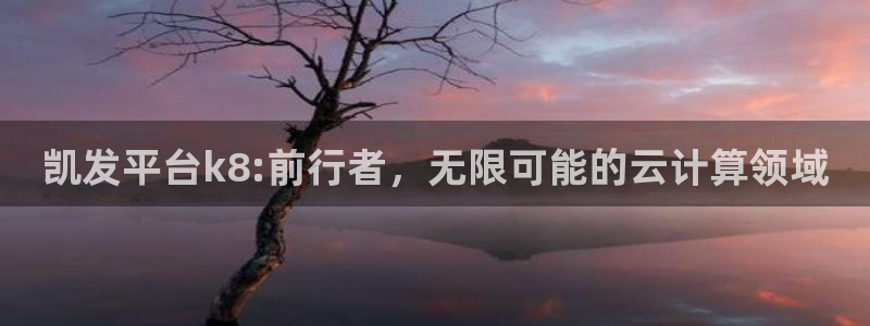 威九国际2登录地址：凯发平台k8:前行者，无限可能的云计算领域