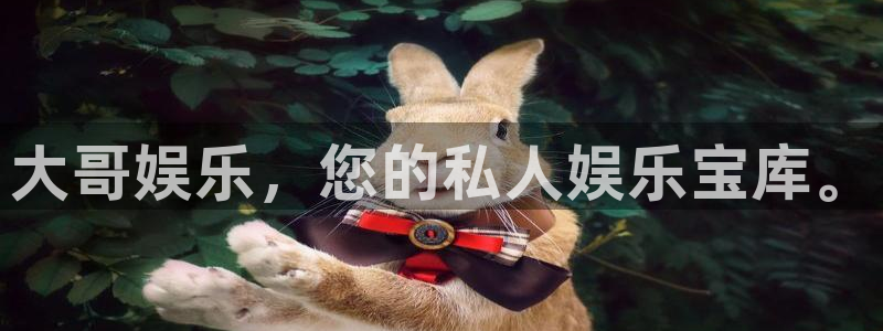 威九国际2体育：大哥娱乐，您的私人娱乐宝库。