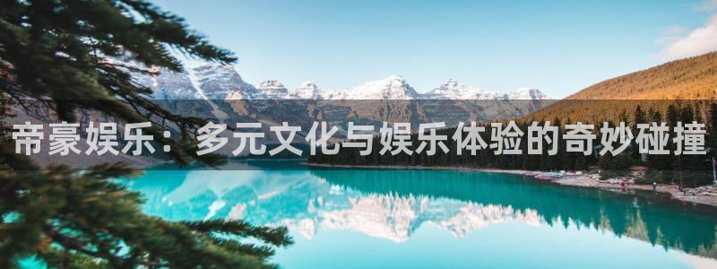威九国际2平台：帝豪娱乐：多元文化与娱乐体验的奇妙碰撞