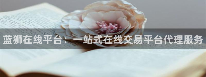威九国际2平台登录：蓝狮在线平台：一站式在线交易平台代理服务