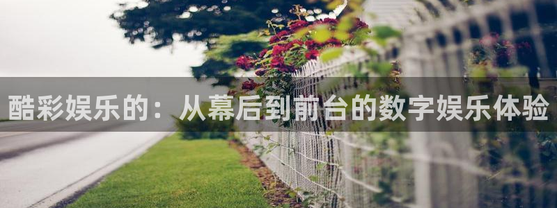 威九国际3登陆：酷彩娱乐的：从幕后到前台的数字娱乐体验