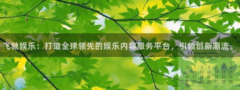 威九国际5招商：飞驰娱乐：打造全球领先的娱乐内容服务平台，引领创新潮流。
