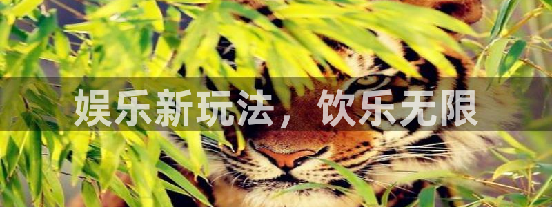 威九国际体育网页版入口：娱乐新玩法，饮乐无限