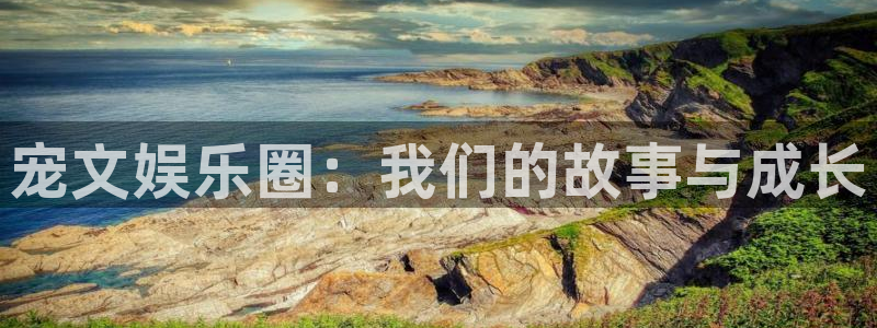 威九国际主管：宠文娱乐圈：我们的故事与成长