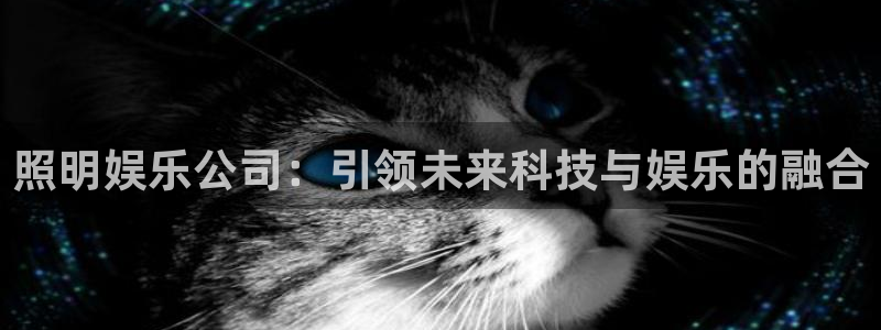 威九国际vk：照明娱乐公司：引领未来科技与娱乐的融合