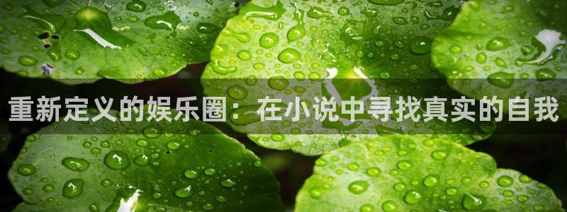 威九国际平台在线开户：重新定义的娱乐圈：在小说中寻找真实的自我