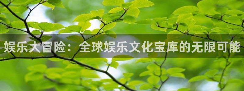 威九国际体育代理：娱乐大冒险：全球娱乐文化宝库的无限可能