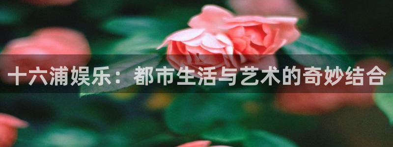 威九国际代理注册官网入口：十六浦娱乐：都市生活与艺术的奇妙结合