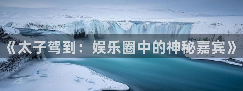 威九国际体育网页版入口：《太子驾到：娱乐圈中的神秘嘉宾》