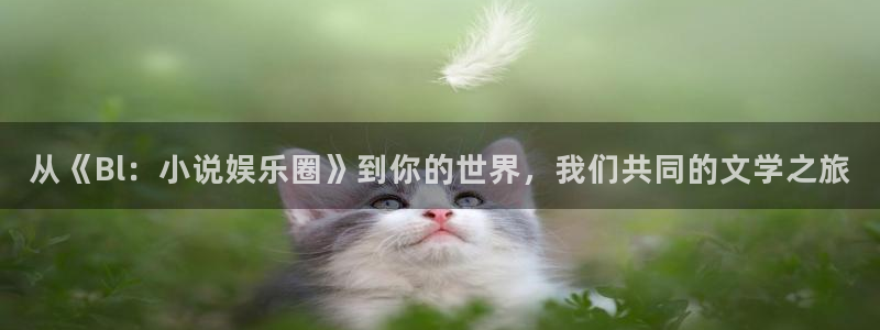 威九国际3登录：从《Bl：小说娱乐圈》到你的世界，我们共同的文学之旅