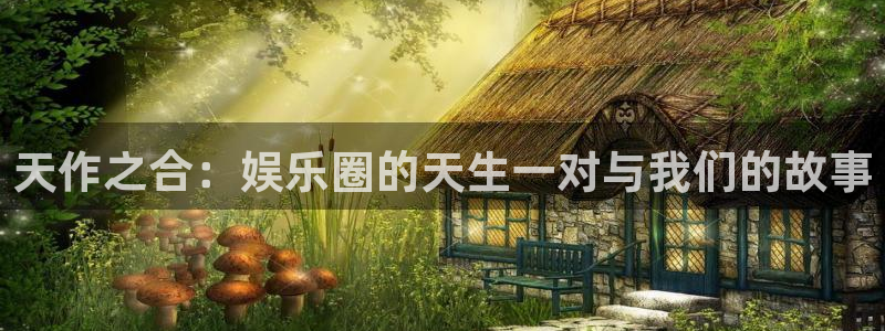 威九国际平台注册入口：天作之合：娱乐圈的天生一对与我们的故事
