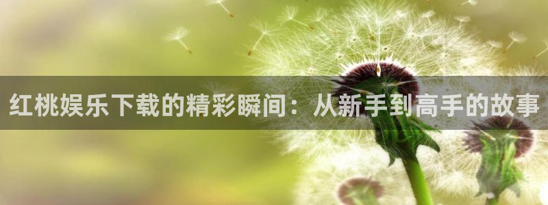 威九国际体育热门赛事有哪些：红桃娱乐下载的精彩瞬间：从新手到高手的故事