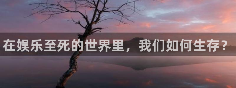 威九国际f平台注册：在娱乐至死的世界里，我们如何生存？