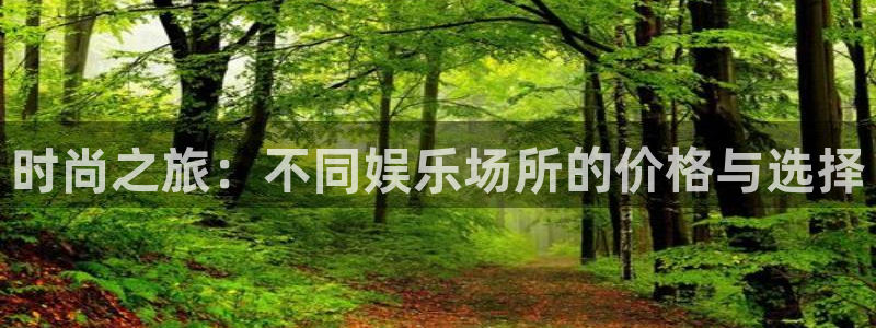 威九国际2登录：时尚之旅：不同娱乐场所的价格与选择