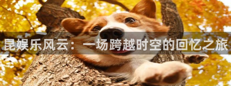 威九国际4：昆娱乐风云：一场跨越时空的回忆之旅