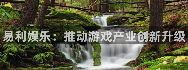 威九国际体育网页版入口：易利娱乐：推动游戏产业创新升级