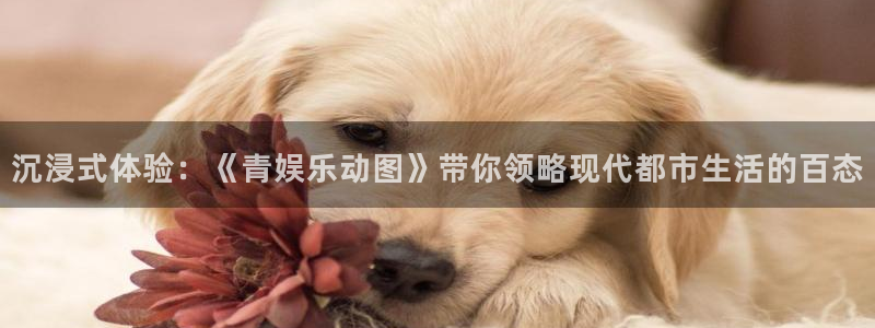 威九国际官网：沉浸式体验：《青娱乐动图》带你领略现代都市生活的百态